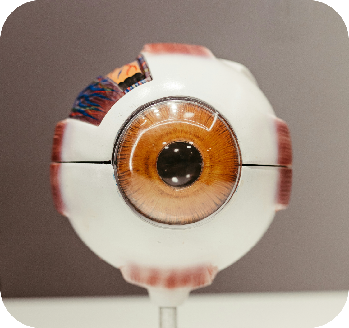 Asset 13